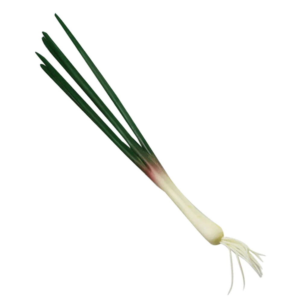 Simulated Onion Model Artificial Lifelike Vegetable Green Simulation Fake Models