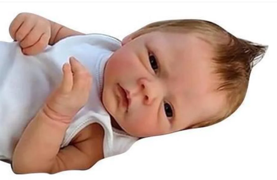 Muñecas Reborn 48 CM Full Body Soft Silicone Toddler Doll Lifelike Real Touch High Quality Doll Christmas Gifts Toy for Children view 3