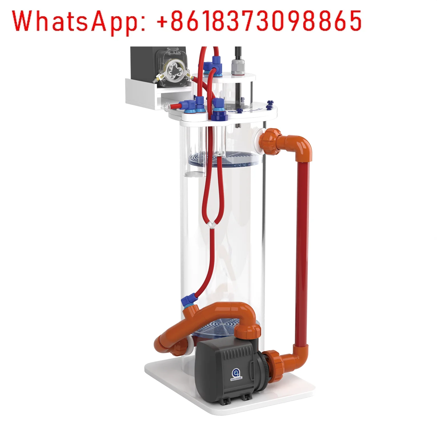 1pcs AE-CR60S Calcium Reactor Marine Aquarium Equipment with K03 Peristaltic Pump for 211 Gallon Reef Tank Coral Growth