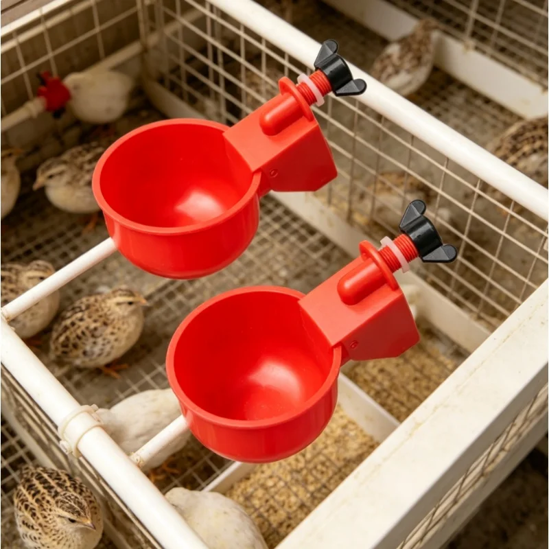 2/10cs aves dispensador de água automático frango beber tigela pombo dispensador de água automático pequeno pintinho tigela de alimentação