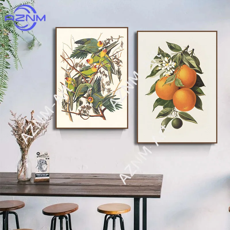 Orange Tree Olive Branch Sketch Flower Bird Butterfly Horse Canvas Painting Print Poster for Wall Art Living Room Home Decor
