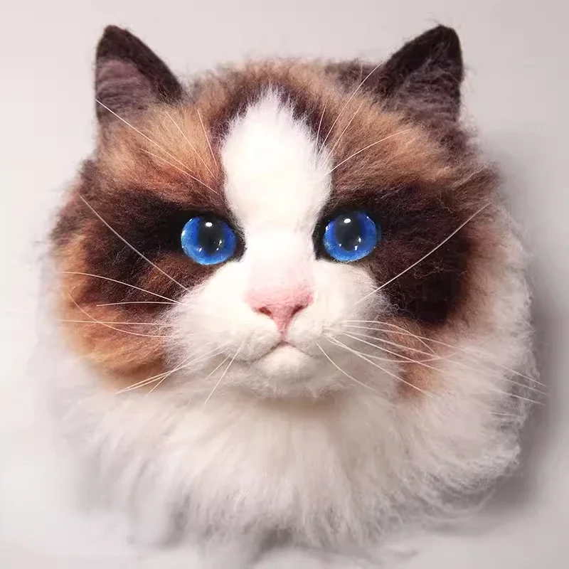 Material Filzen – Der perfekte Start in die Wollfilzerei für Anfänger und Kinder