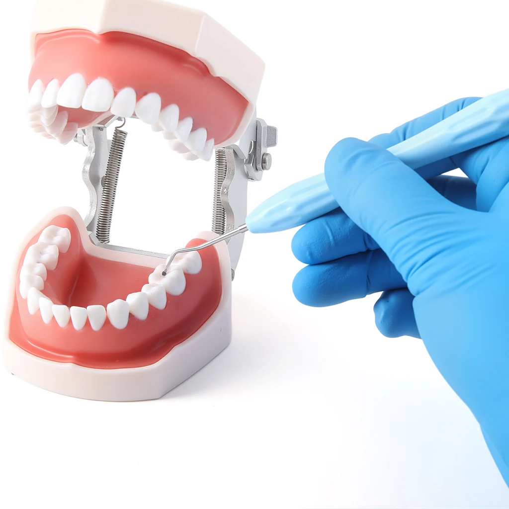 AZDENT Dental-Aushebelspatel CT-15 1,0/1,5/2,0mm Restaurativer Aushebelspatel mit Doppelenden Zahnarztwerkzeuge Autoklavierbar – Detail 10