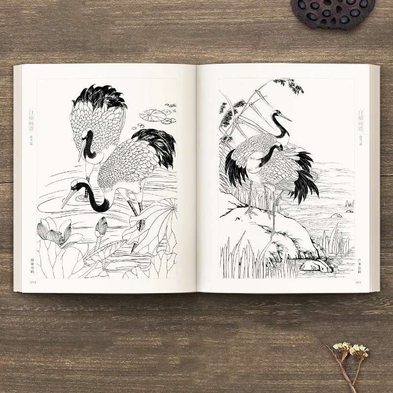 Line Drawing Painting Book Character Flower Bird Chinese Meticulous Painting Technique Book Animal Vegetable Fruit Picture Album