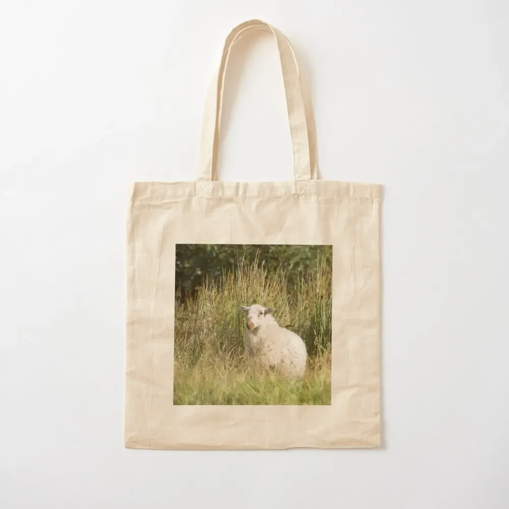 

Welsh Mountain Sheep III Tote Bag Gift bag Canvas bag