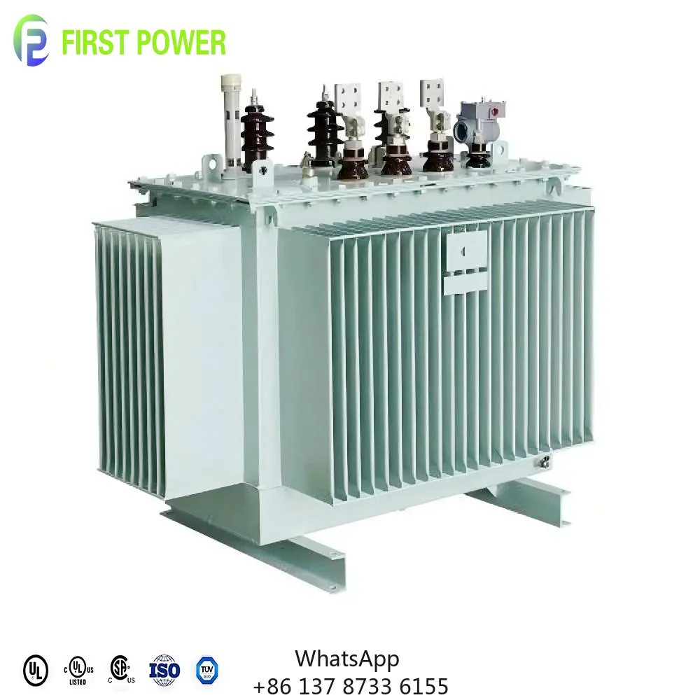 IEEE Standard 50/60HZ S11 Series 6KV 10KV 20KV 35KV MV&HV Three Phase Oil Filled Transformer For Electric Power Distribution