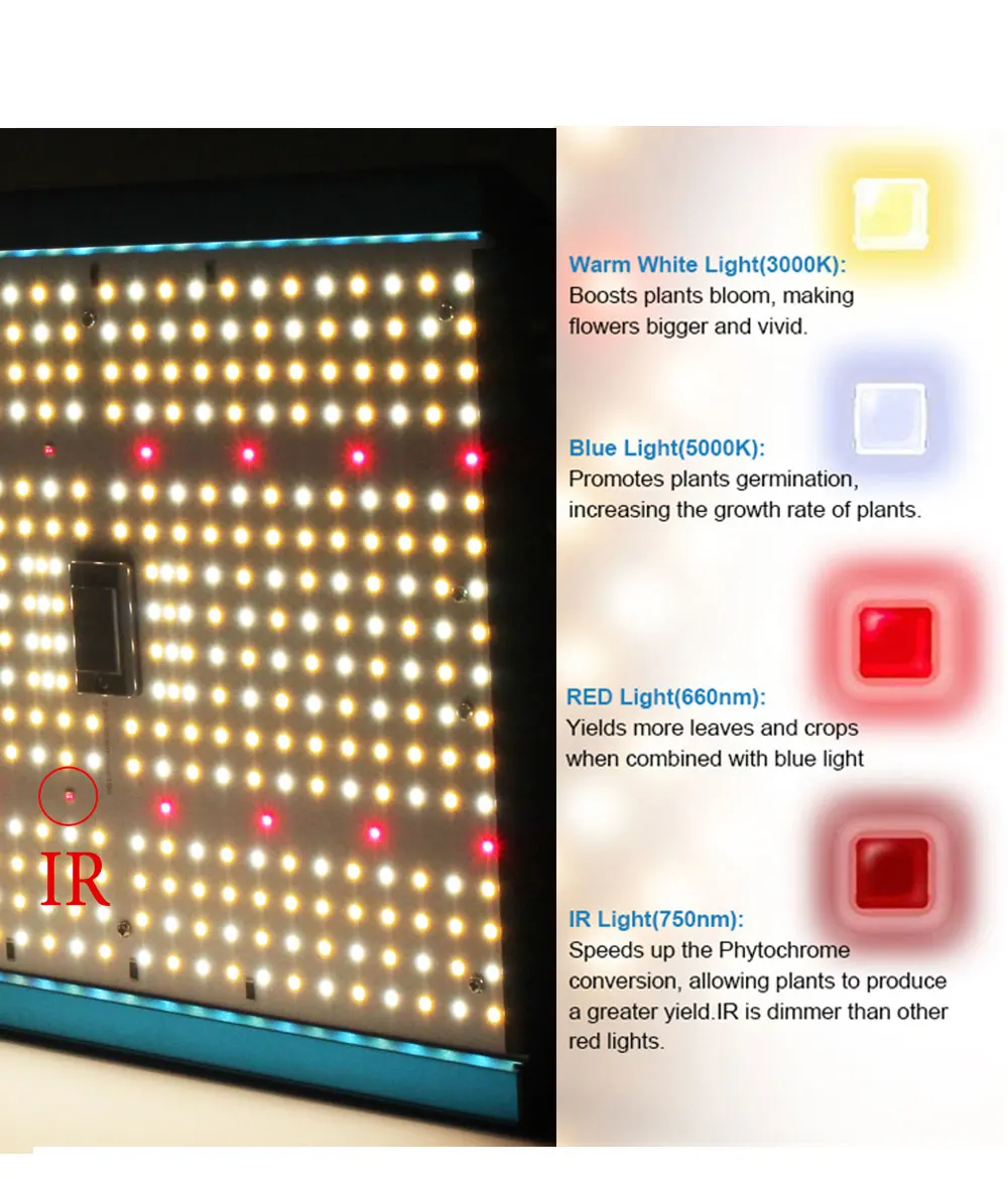 Imagem -04 - Led Crescer a Luz Espectro Completo 3000k 5000k Samsung Lm301b Levou Lâmpadas de Plantas de Estufa Hidroponia Sistema Crescente Lâmpada Hortícola