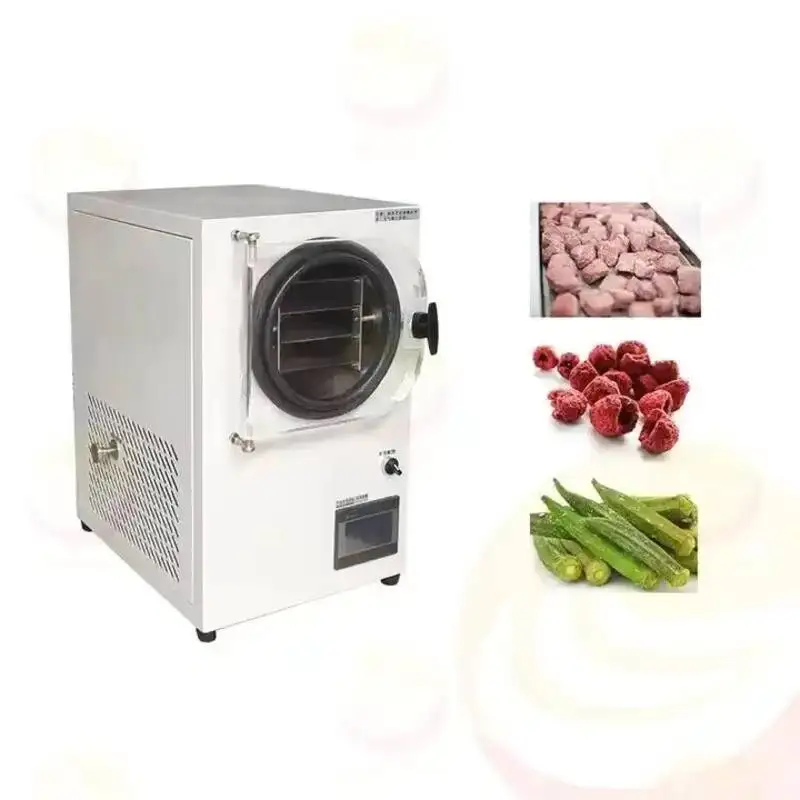 Freeze Drying Machine Small Vacuum Lab Freeze Dry Machine Home Use Mini Food Freeze Dryer Machine