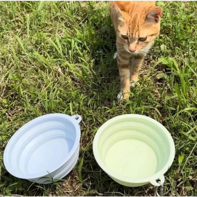 Thumbnail 3 - #33 Best Collapsible Dog Bowls to Buy In 2026