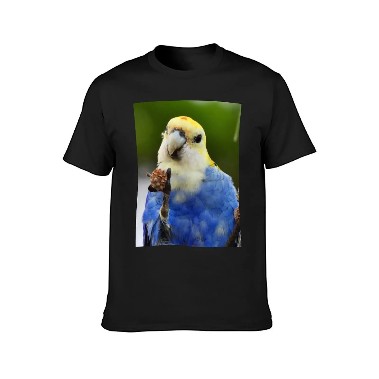 Pale-headed Rosella showing off its lunch T-Shirt Blouse aesthetic clothes heavyweights new edition Men's t-shirt