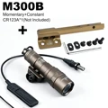M300B Combe Tan2