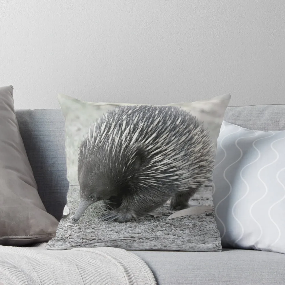 Echidna Throw Pillow, Echidna photography,echidna, echidna cushion Throw Pillow Pillow Case Luxury Pillow Cover