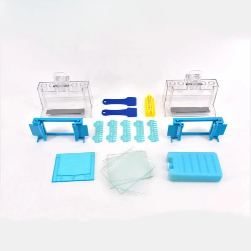 

DNA Analysis Electrophoresis Cell, for Sequencing, Fingerprinting, Differential Display & SSCP Studies