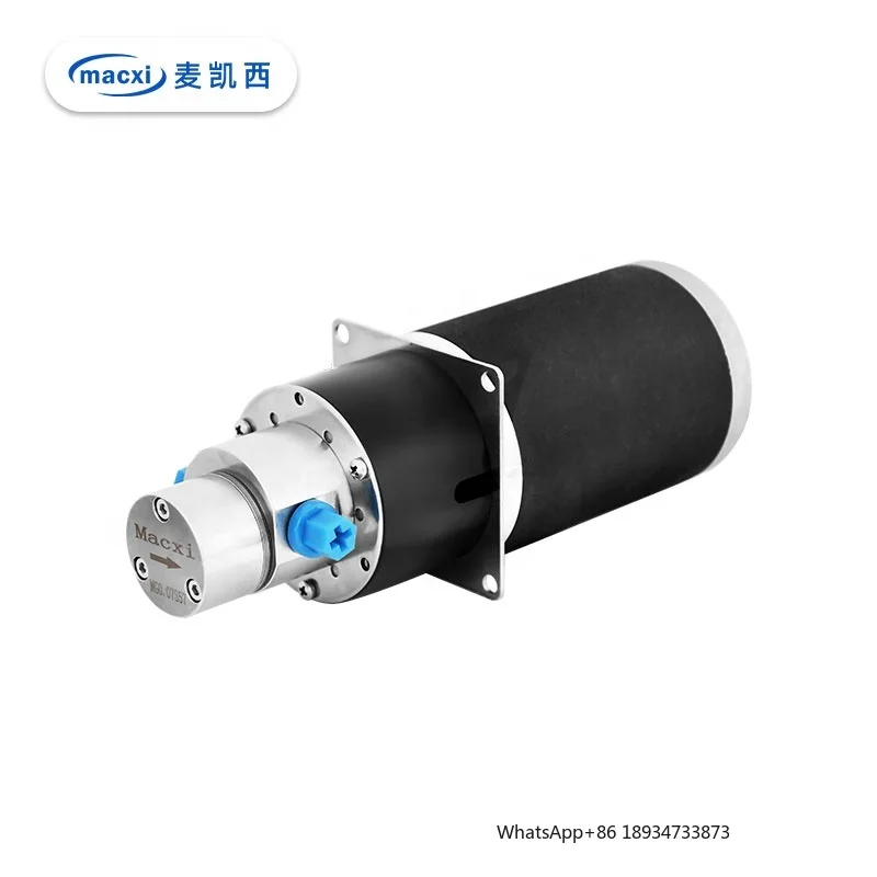 

Высококачественный магнитный химический дозирующий мини-шестеренный насос из нержавеющей стали для экспериментальной настройки