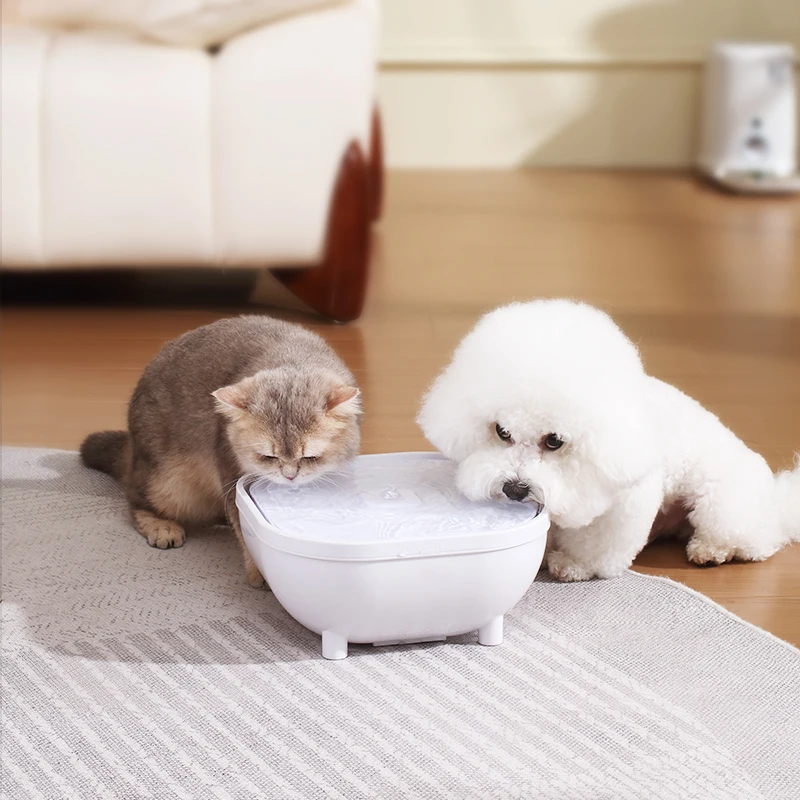 

New Large 6L Capacity ABS Pet Water Dispenser Stylish Automatic Pet Feeder with Battery Power Source Portable