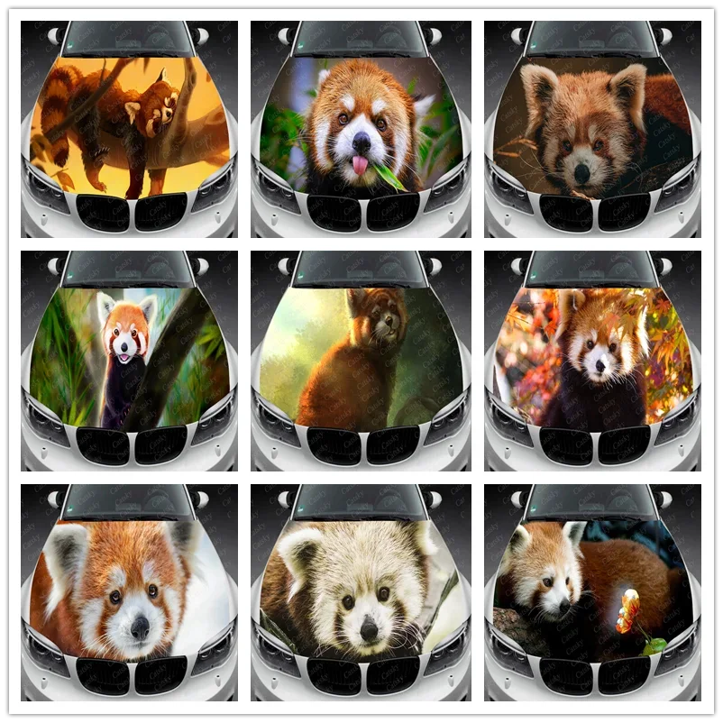 Animal -  Red Panda Car Hood Vinyl Stickers Wrap Vinyl Film Engine Cover Decals Sticker Car Auto Accessories