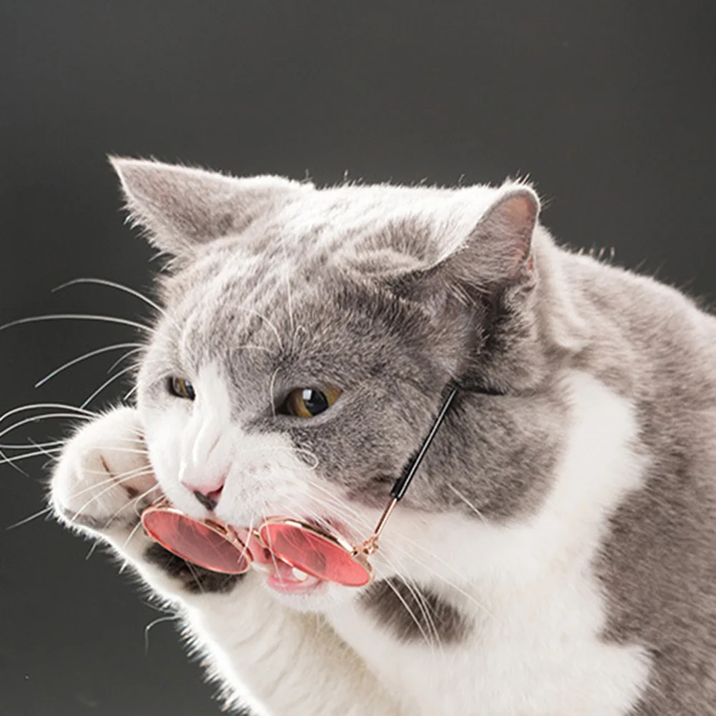 

Pet Sunglasses Unisex Fashionable Polarized Eyewear for Dogs Cats Stylish Durable Lightweight Accessories Random Color