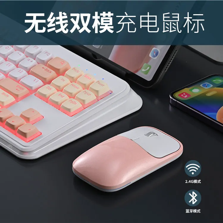 Custom ICE FOX Rechargeable Dual-Mode Wireless Mouse, LED Backlit Slim Gaming Office for Laptop Tablet Phone, Portable 2.4G BT