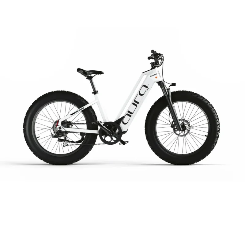 

Cyrusher Aura Step-Thru Fat Tire E-Bike Range of up to 60 Miles All-terrain Electric Bikes 52V 15Ah Cycling