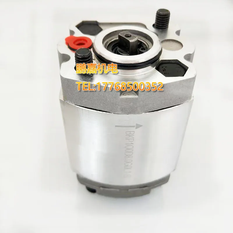 BKP1Q0D8.0G0L1-B Boden Oil Pump BKP1Q0S0.8 1 1.6 2.1 2.7 4.2