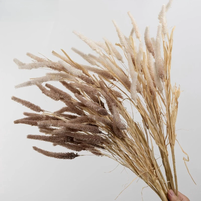 10pcs Simulation 9-head Reeds Flower Plastic Green Plants Artificial Bristlegrass Plant Floral Home Living Room Decoration