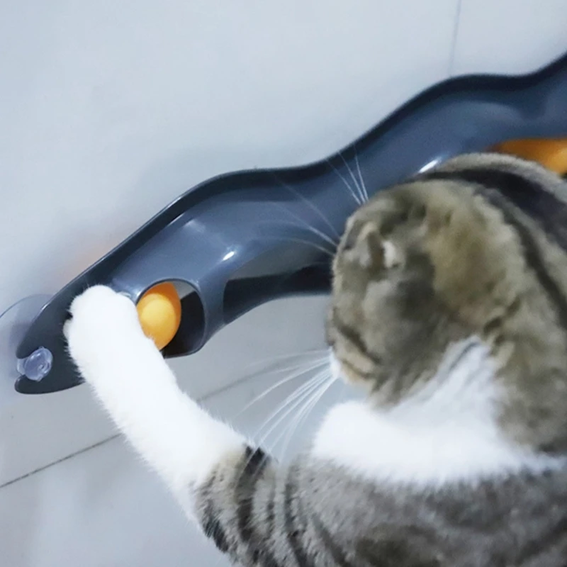 Suction Cup Cats Toy Teaser for Window Keeps Indoor Kitten Entertained Teasing Toy Dropship