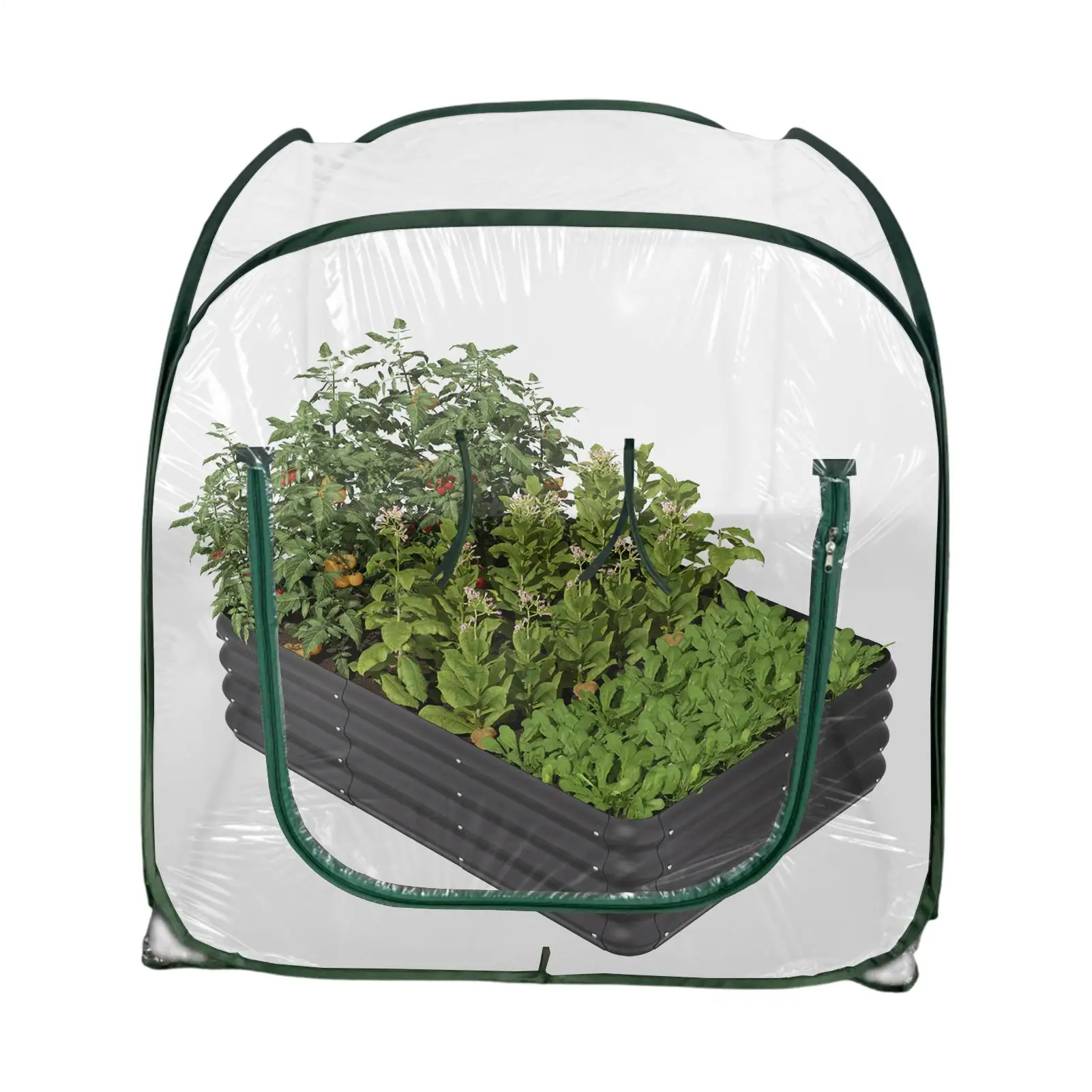 

Складная прозрачная теплица из ПВХ, мини-теплая цветочная комната, садовое покрытие, защита от насекомых, суккуленты, растения на открытом воздухе, теплица