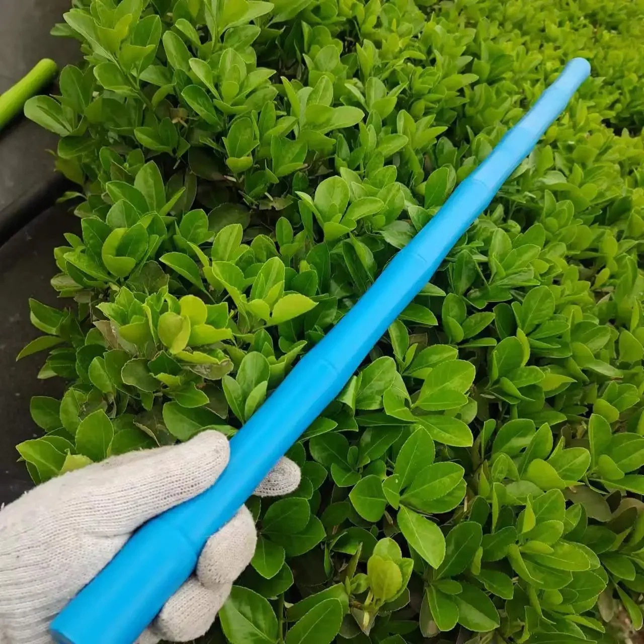 80cm Outdoor multifunzionale in gomma bastone corto campeggio escursionismo Cane auto strumento di autodifesa di emergenza