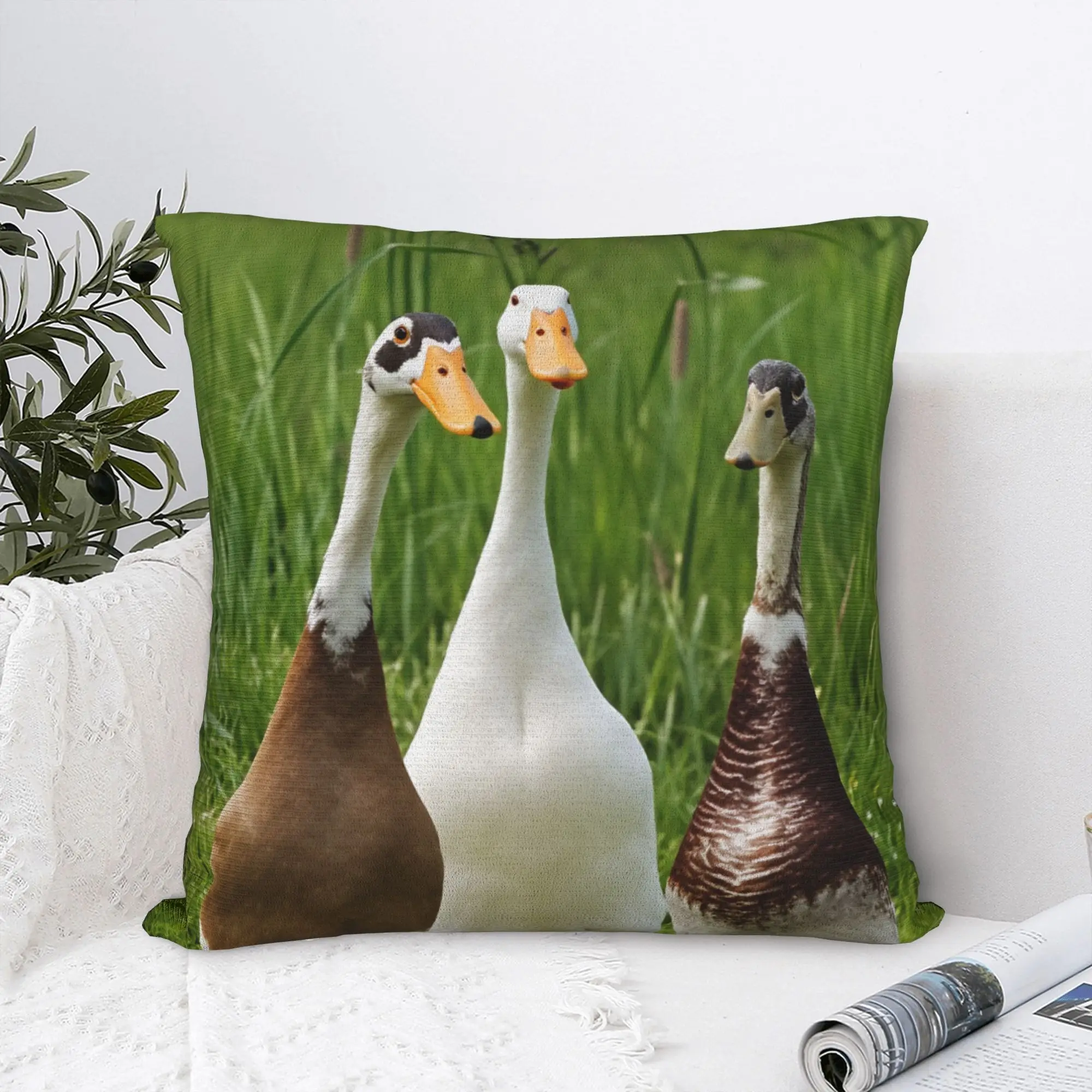 Pillow Case Indian Runner Duck Comfy  Pillow Cover For Sofa Bedroom Home Decor Funny Pillowcases