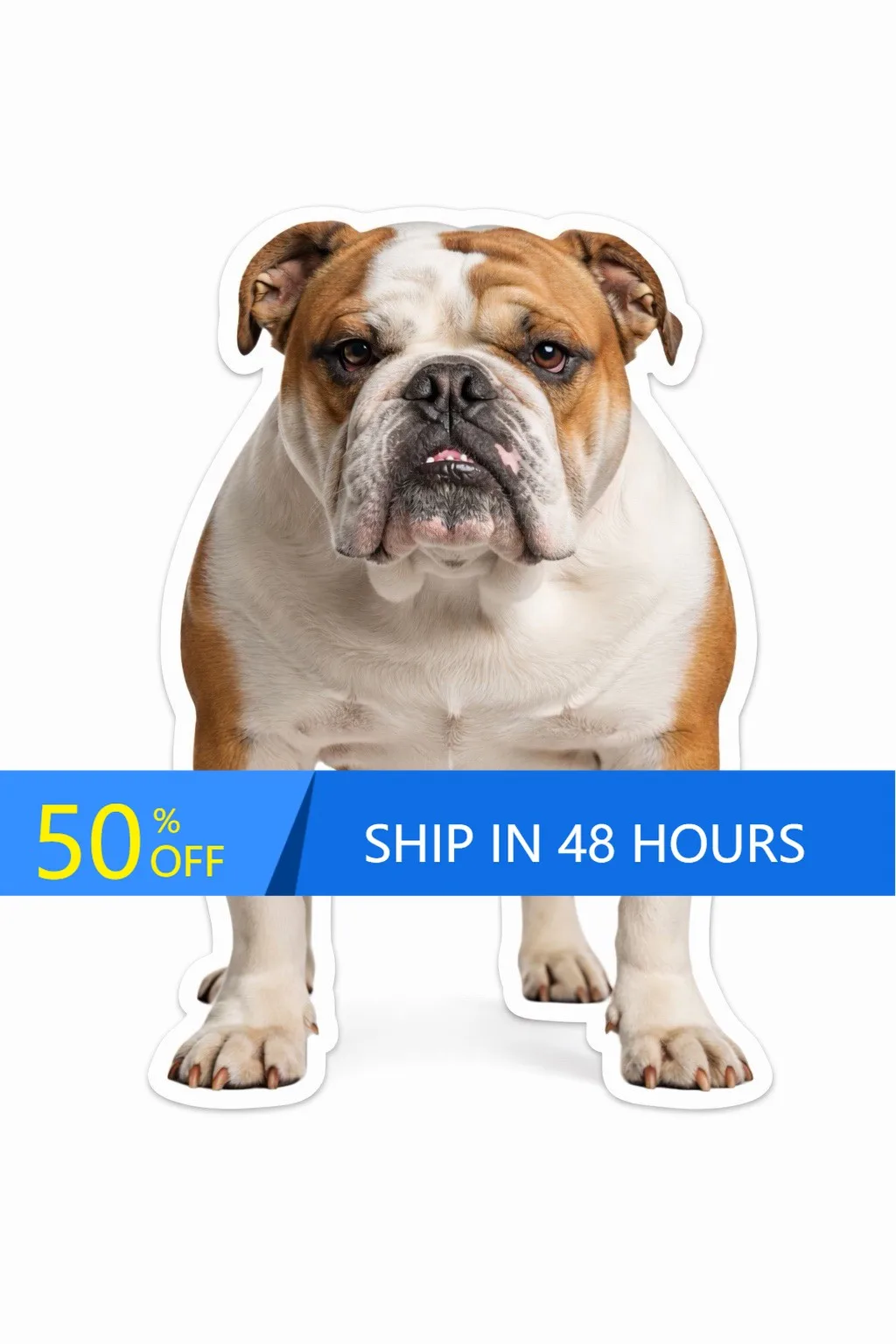 

English BullDog Peeking Paws Aesthetic Window Camper Van Walls Motor Home Decoration Cool