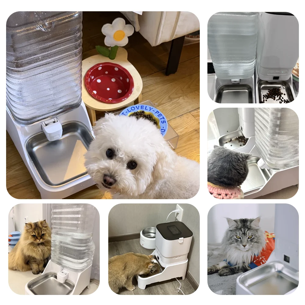 Thumbnail 4 - #26 Top 40 Smart Dog Feeders Worth Buying In 2026