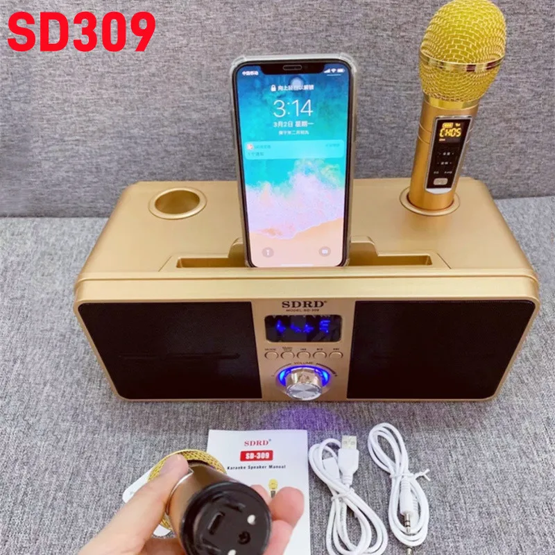 SD309 Family KTV Mobile Phone Karaoke Machine With Dual Microphone Support TF Card/USB/AUX Playback Wireless Bluetooth Speaker