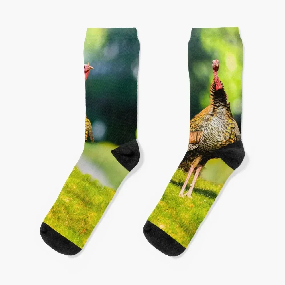 Wild Turkeys Socks cute Rugby Luxury Woman Socks Men's