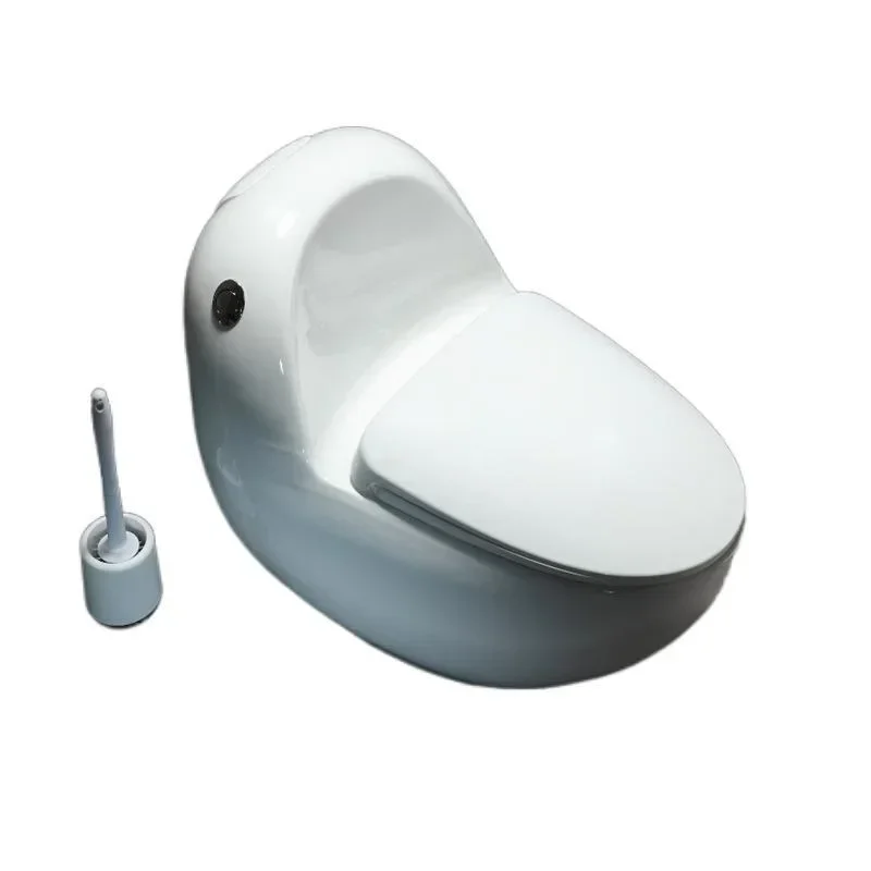 

Ordinary flush toilet toilet
