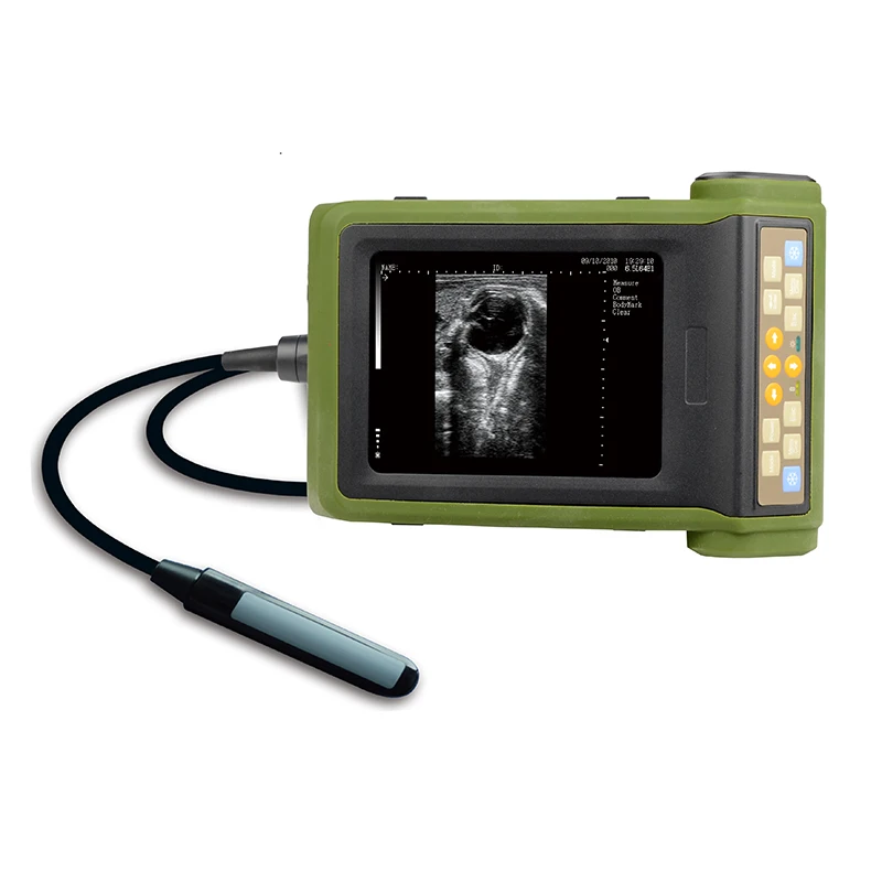 Animal Diagnosis Veterinary Portable Full Digital Bladder Volume Ultrasound Scanner For Cattle Sheep Horse Pig Farm
