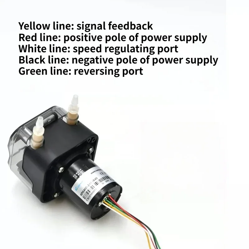 24V Peristaltic Pump Miniature Constant Current Small Self-priming Quantitative Flow Pump