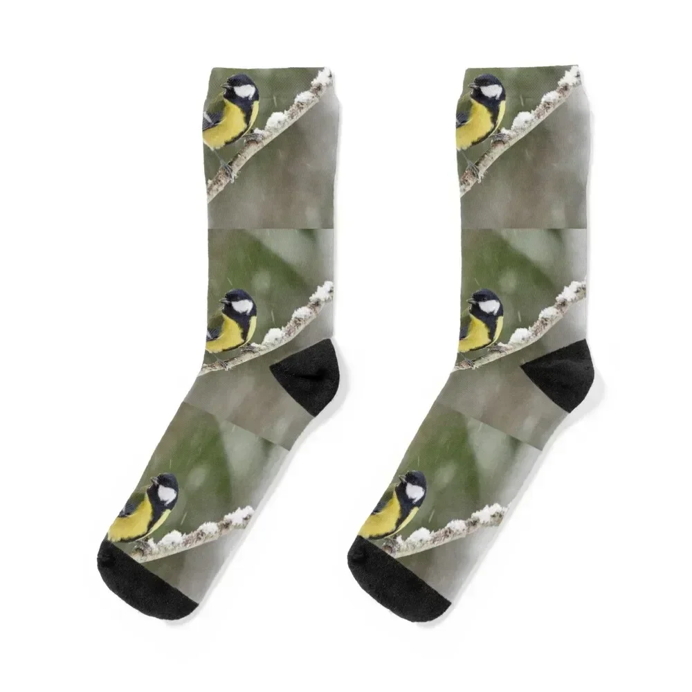 

Great tit with some snow in the air Socks designer men cotton high quality Stockings Socks For Girls Men's