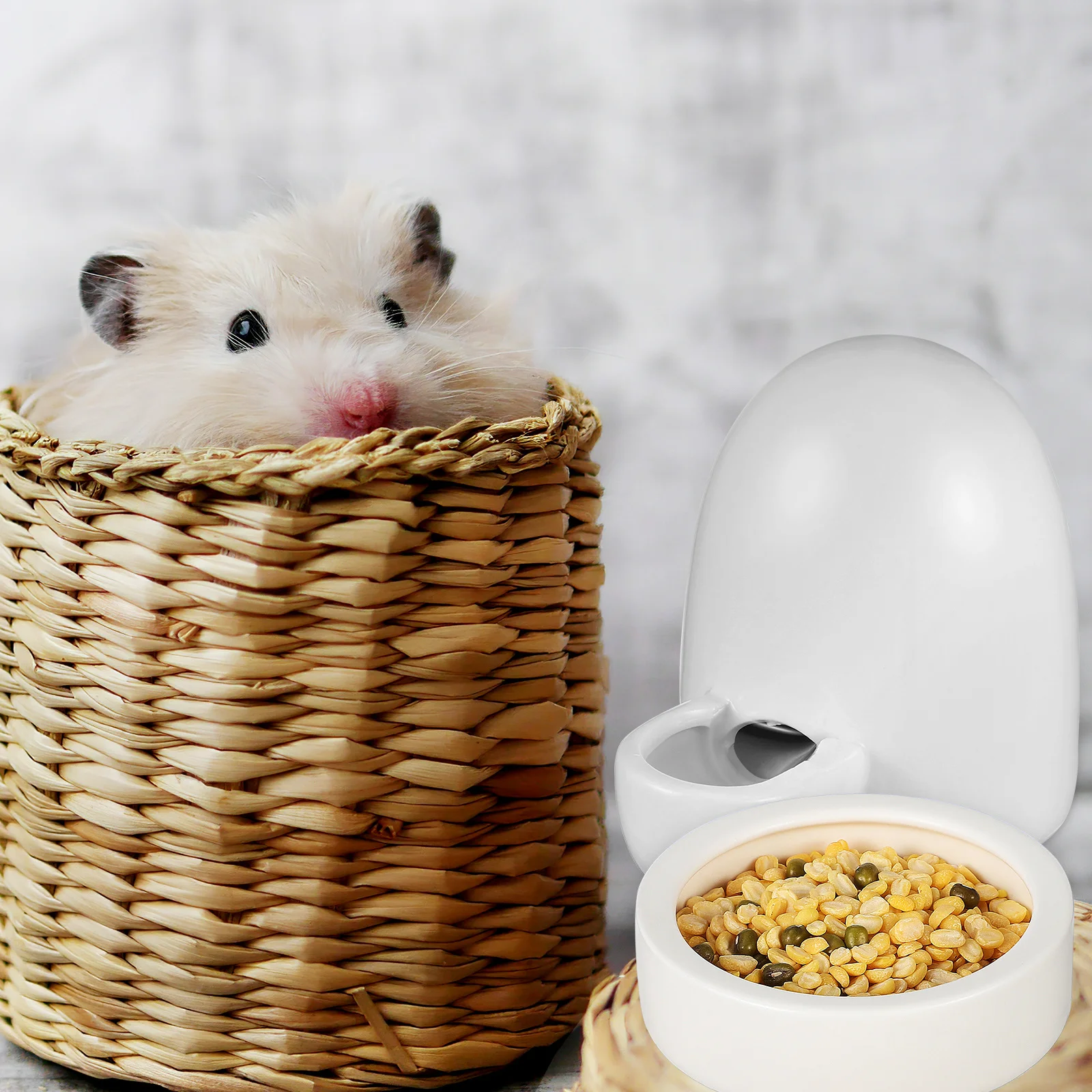 

3 Pcs Feeder Drinking Water Dispenser Small Animal Foods Dish Kit Feeding Supplies Hamster Bowl