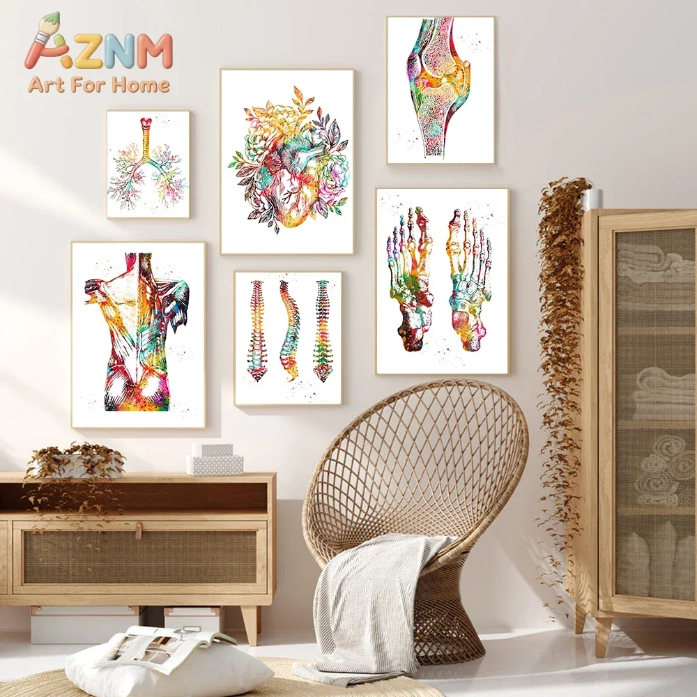 AZNM Human Anatomy Canvas Wall Art Colorful Skeleton Heart Lung Knee Medical Art Poster Clinic Unframed Canvas Home Decor Painti