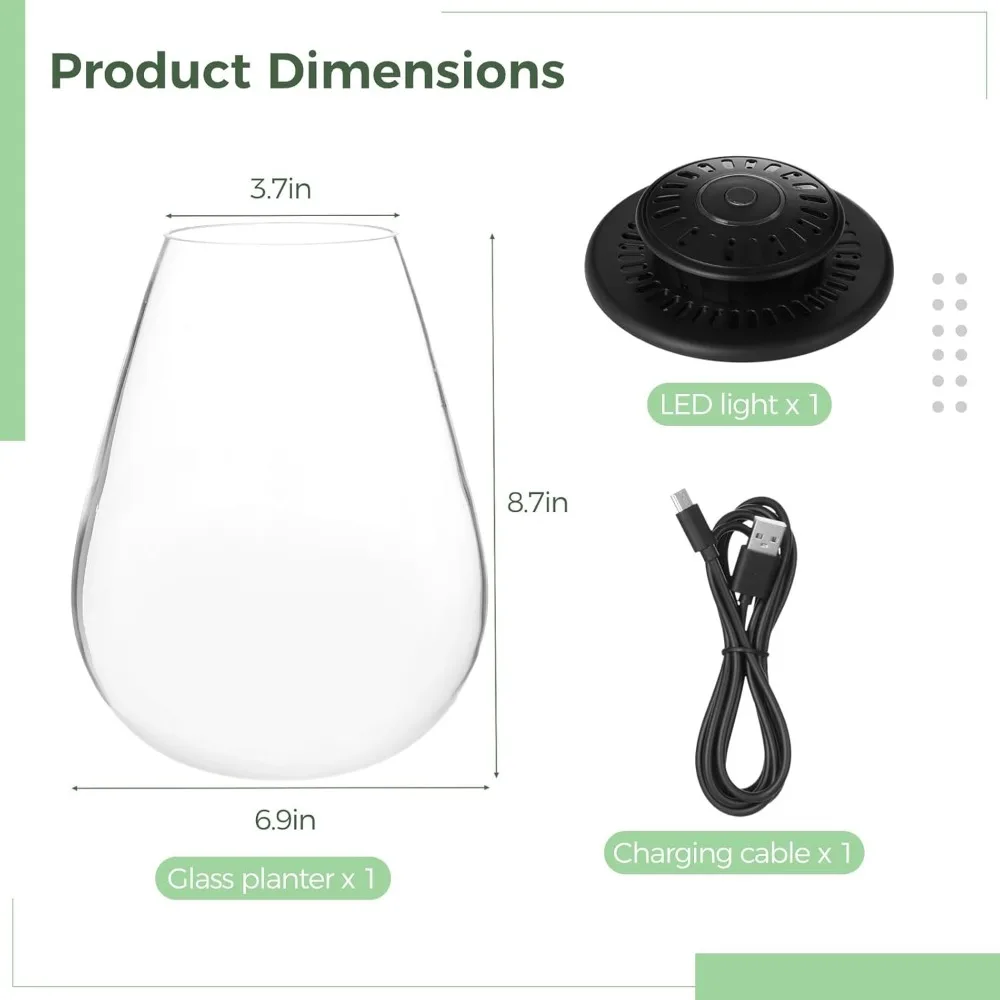 تررم نبات زجاجي صغير مع ضوء LED للنمو - حديقة الطحلب العصارية، خزان الأسماك، هدية ديكور المكتب المنزلي