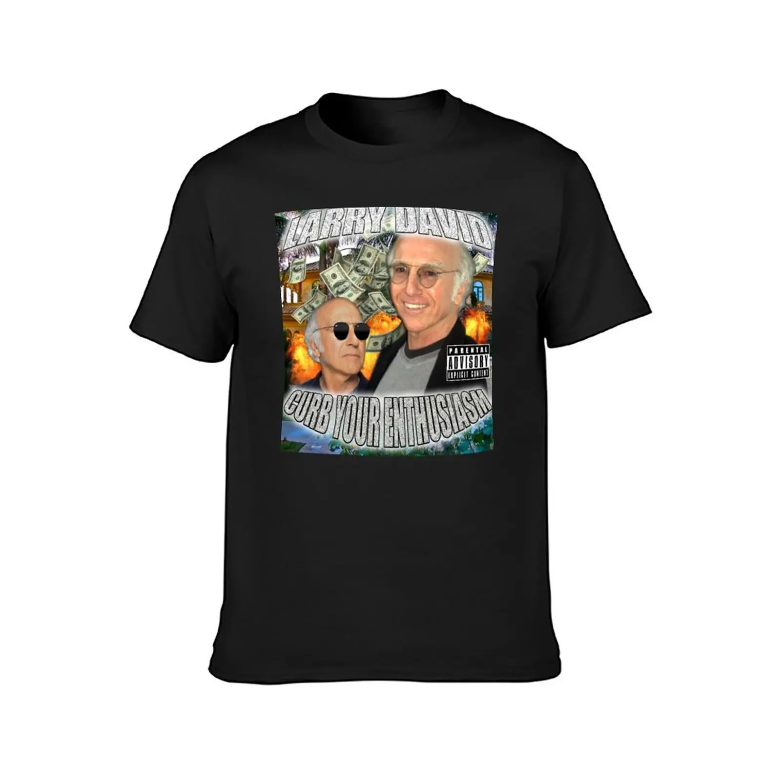 LARRY DAVID T-Shirt summer clothes vintage t shirts for men graphic