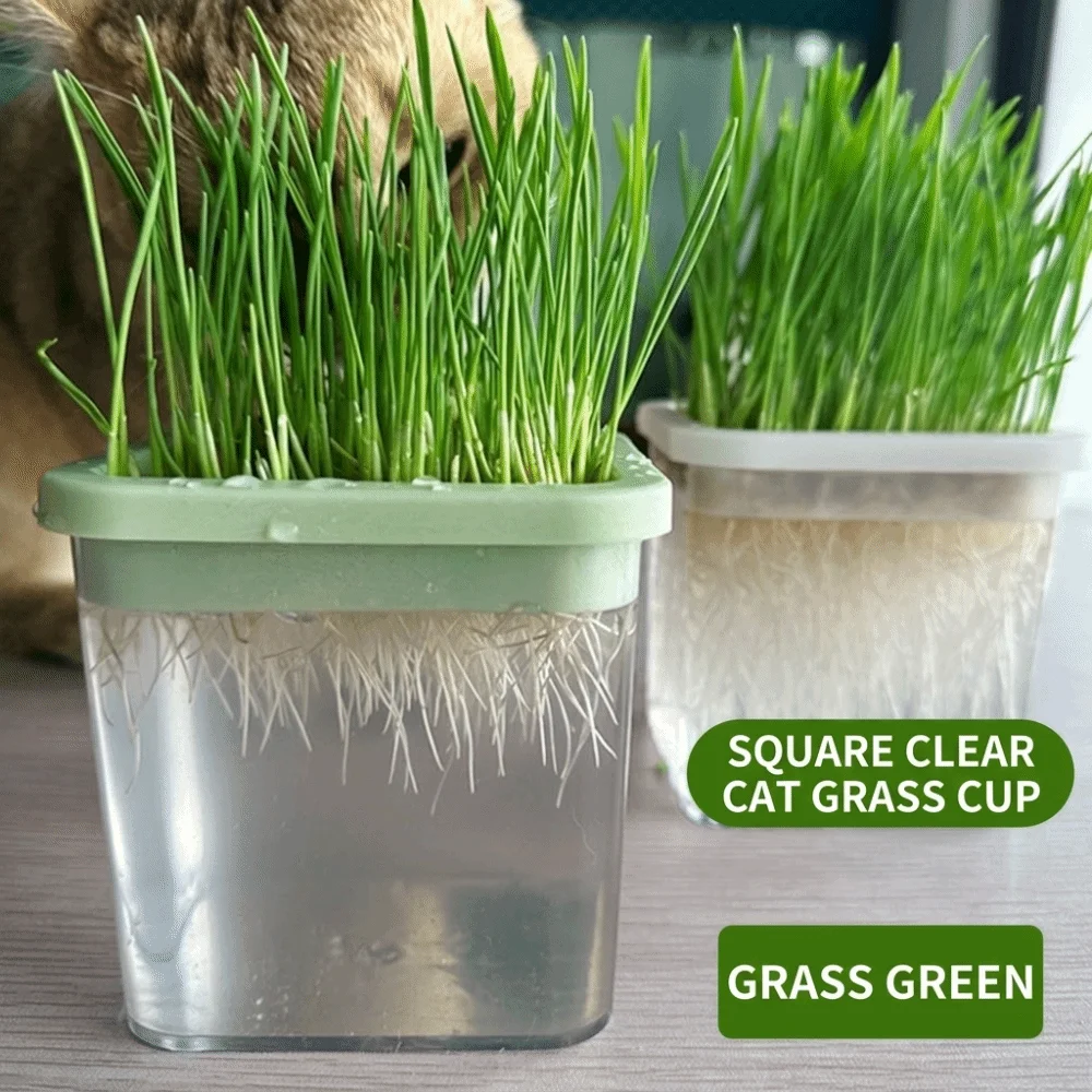 Detachable Soilless Cultivation Cup Layered Reusable Cat Grass Box Planter Portable Transparent Sprouting Tray Indoor Growing