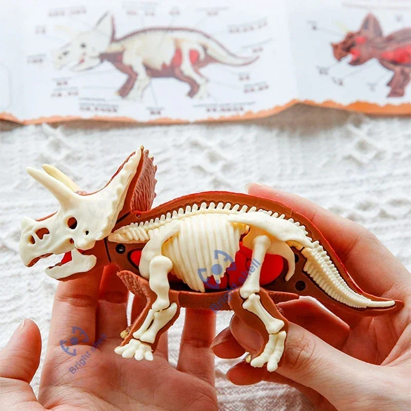 Dinosaur Jurassic World Kids Toy DIY Fossil Archaeology Excavation Kit Skeletons Dig Stem Science Educational Toys for Children