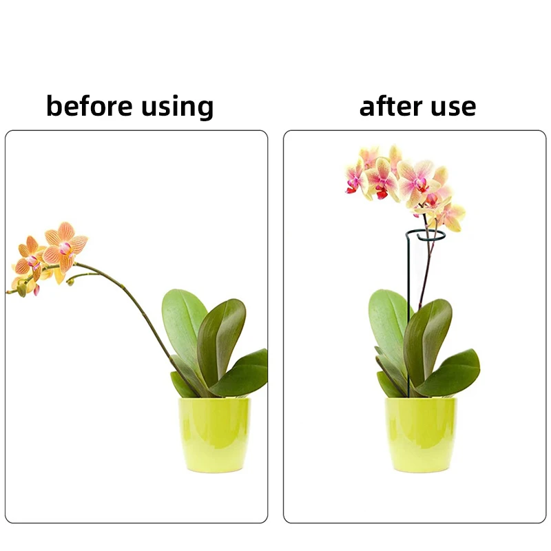 High-quality Gardening Plant Supports Flower Stand Reusable Protection Fixing Tool Garden Supplies For Vegetable Holder Bracket