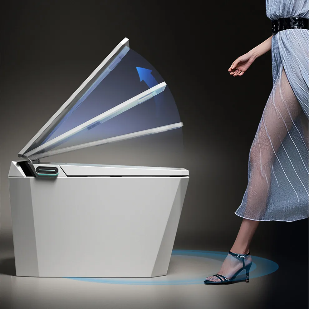 الأدوات الصحية، أرضية المرحاض، المرحاض الذكي