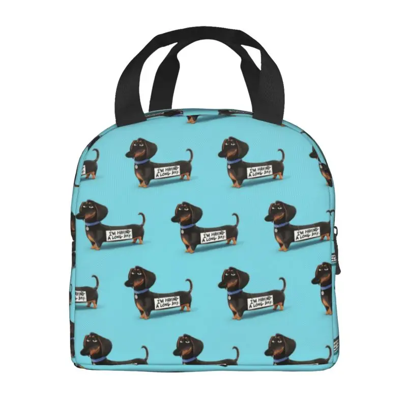 Dachshund Dog Funny Puppy Insulated Lunch Bag for Women Waterproof Pet Thermal Cooler Lunch Box Beach Camping Travel