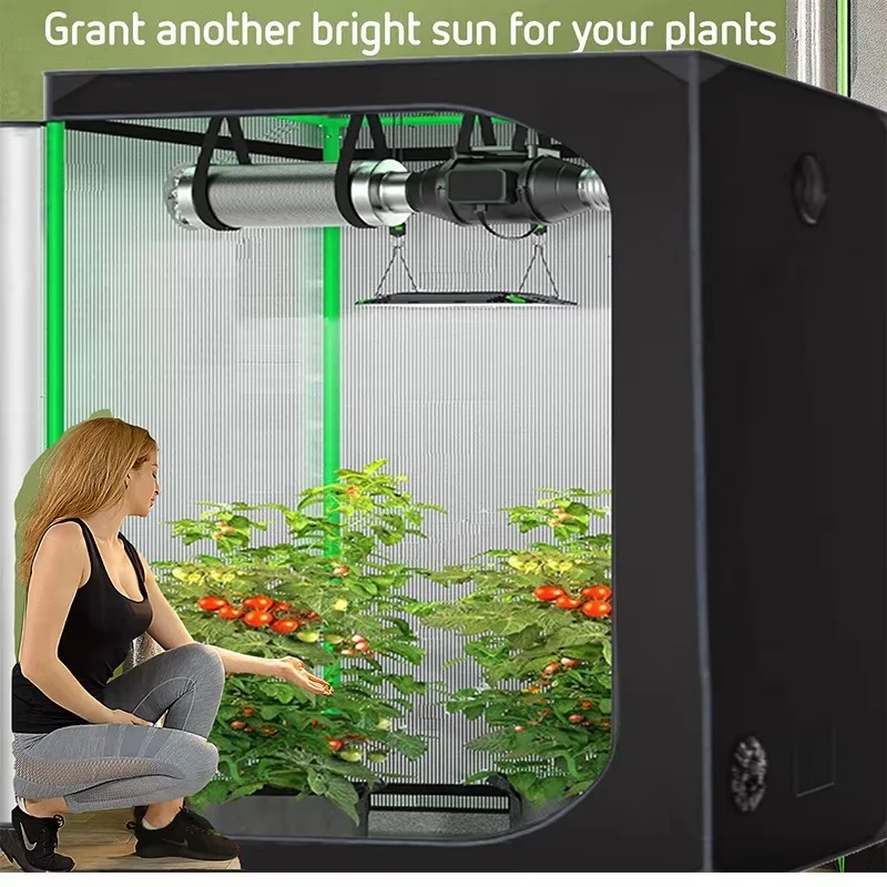 Durable 600D Oxford Cloth Hydroponic Grow Tent Single Door Green Edges & Green Pipes for Plant Growth 60*60*120