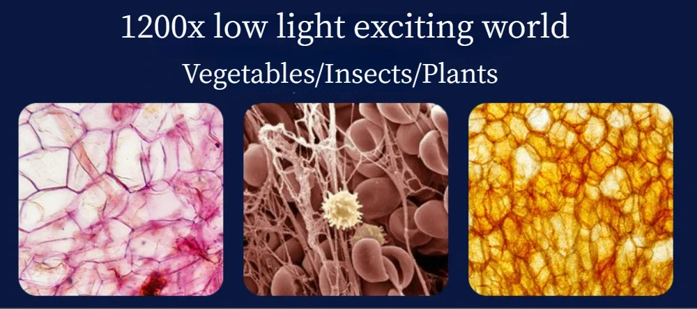 Biologisches Mikroskop-Set für Kinder mit Objektträgern, LED, 100x-400x-1200x, Verfeinerte Wissenschaftliche Instrumente, Spielzeug-Set, Geburtstagsgeschenk – Detail 9