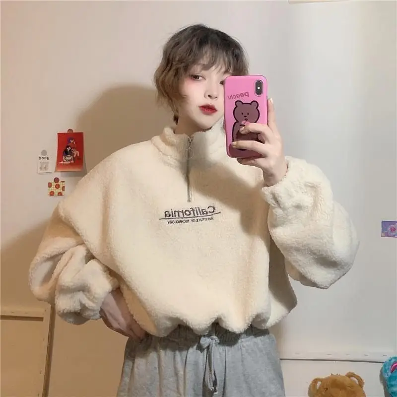 Cashmere Short High Collar Hoodies Women Thicken Loose Korean Autumn Zipper Coat Embroider California Letters Sweatshirt Femme