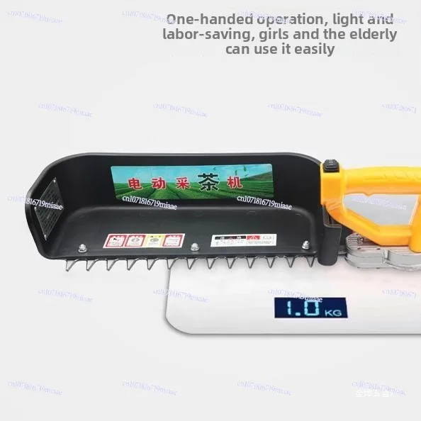 Brushless Electric Lithium Battery Tea Picker Single Small and Lightweight